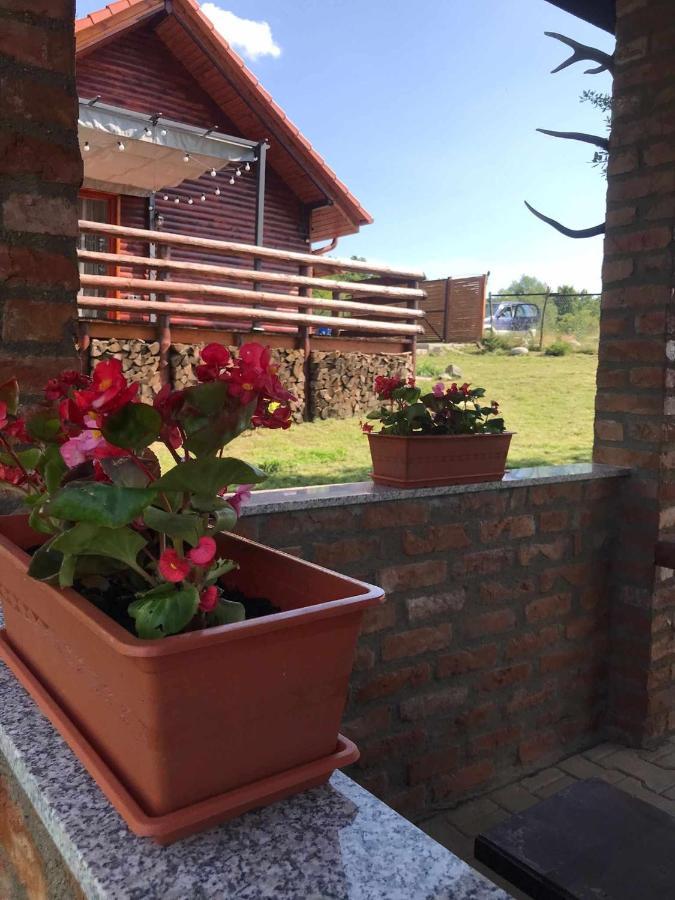 Cabana Nyiko Cu Ciubar Villa Lupeni  Bagian luar foto