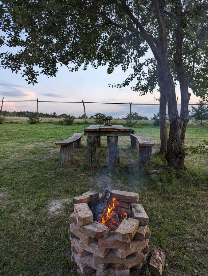 Cabana Nyiko Cu Ciubar Villa Lupeni  Bagian luar foto