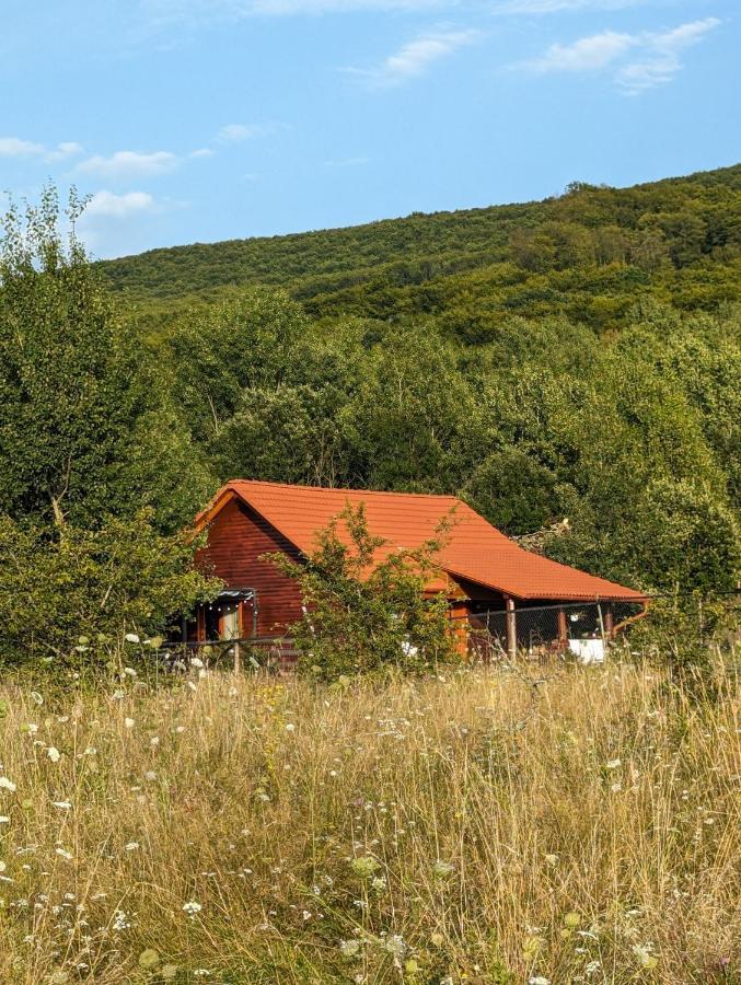 Cabana Nyiko Cu Ciubar Villa Lupeni  Bagian luar foto