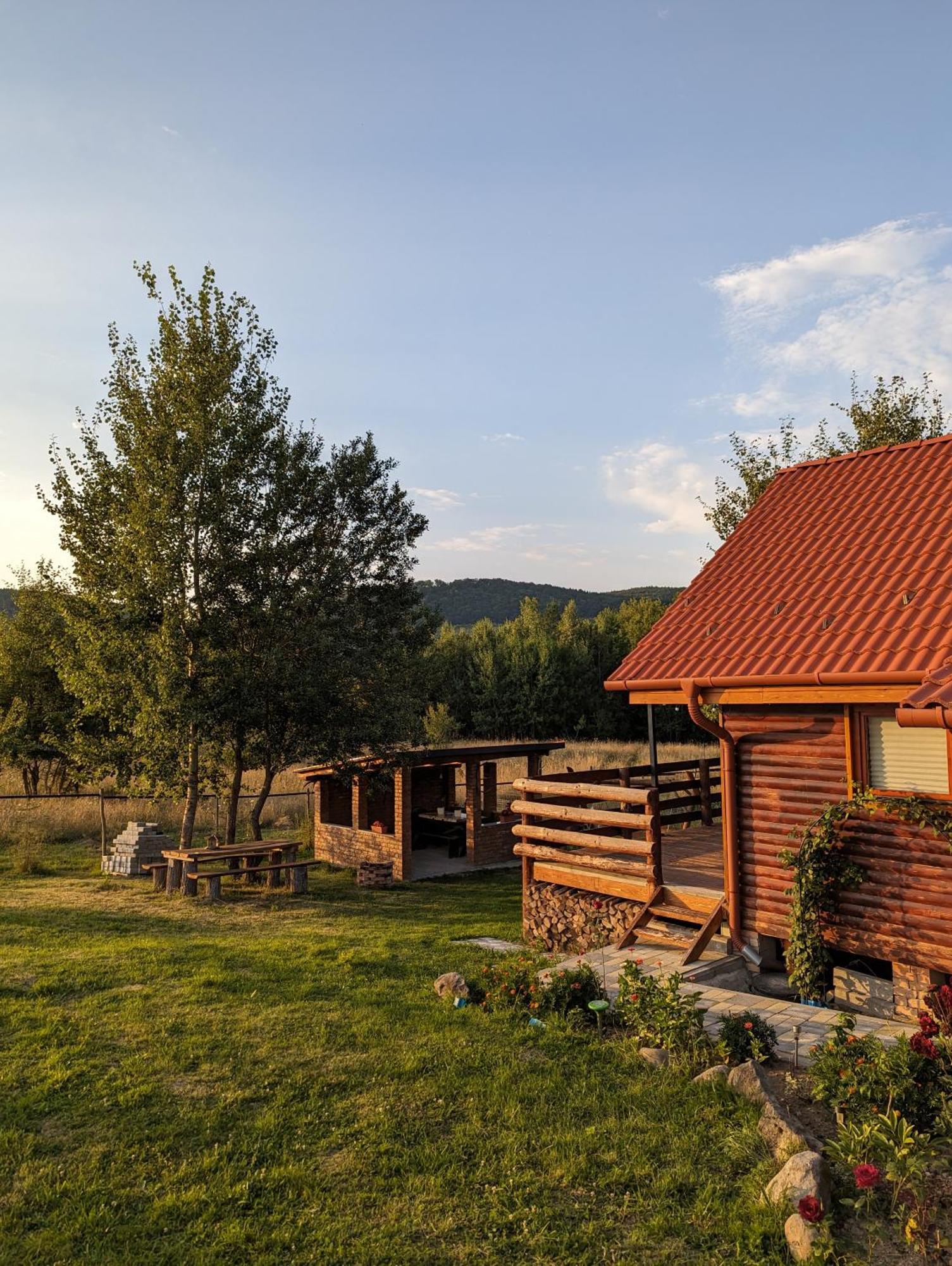 Cabana Nyiko Cu Ciubar Villa Lupeni  Bagian luar foto